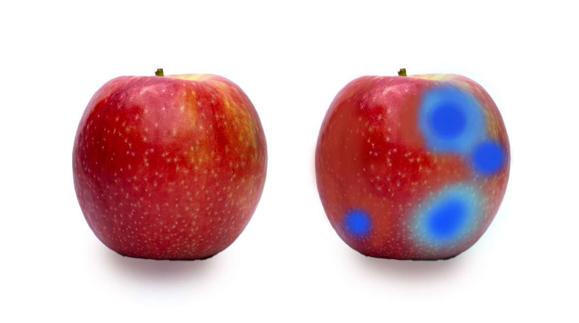 果物の傷みの可視化事例